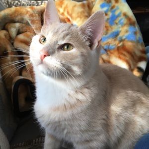 Meet your Posher, Kaley